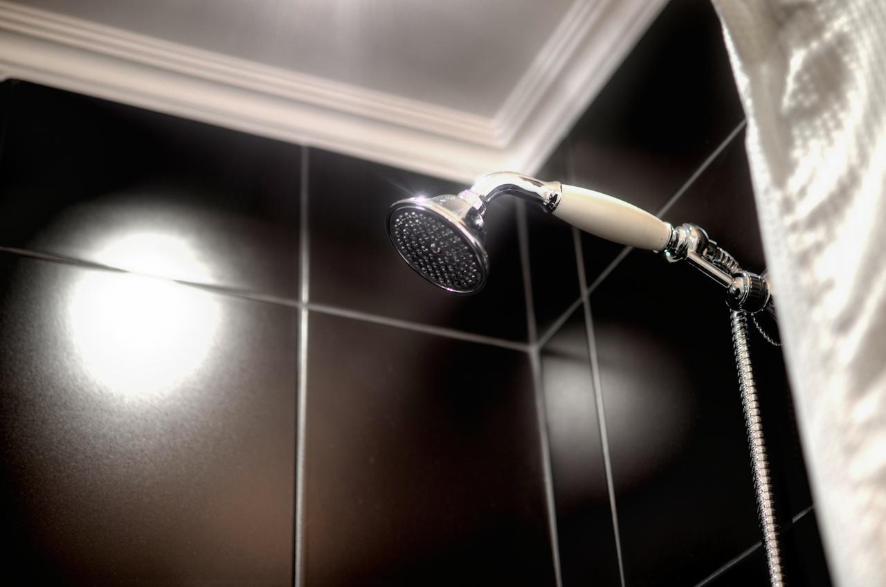 Les Petits Boudoirs De Savoie Apartment Chambery Bagian luar foto